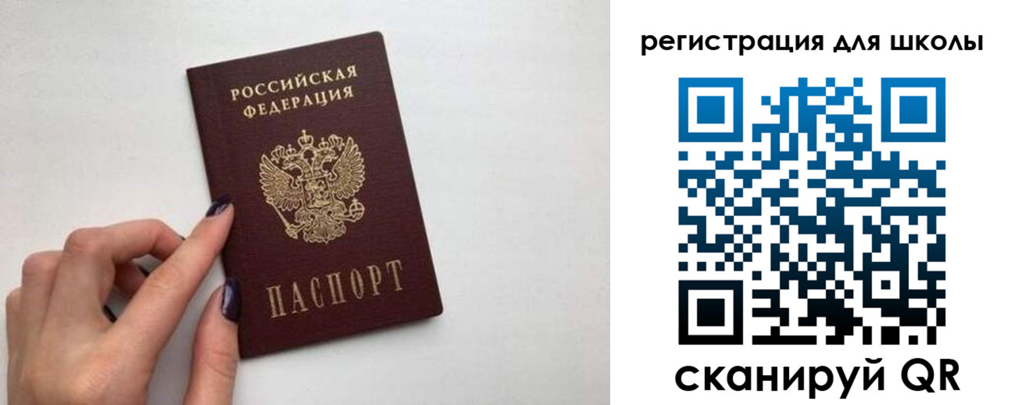 прописка поиск в Нововоронеже